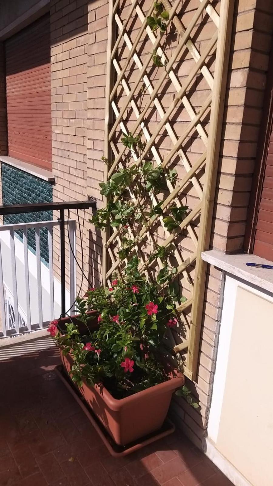 La Casa Dei Nonni Al Vaticano Apartment