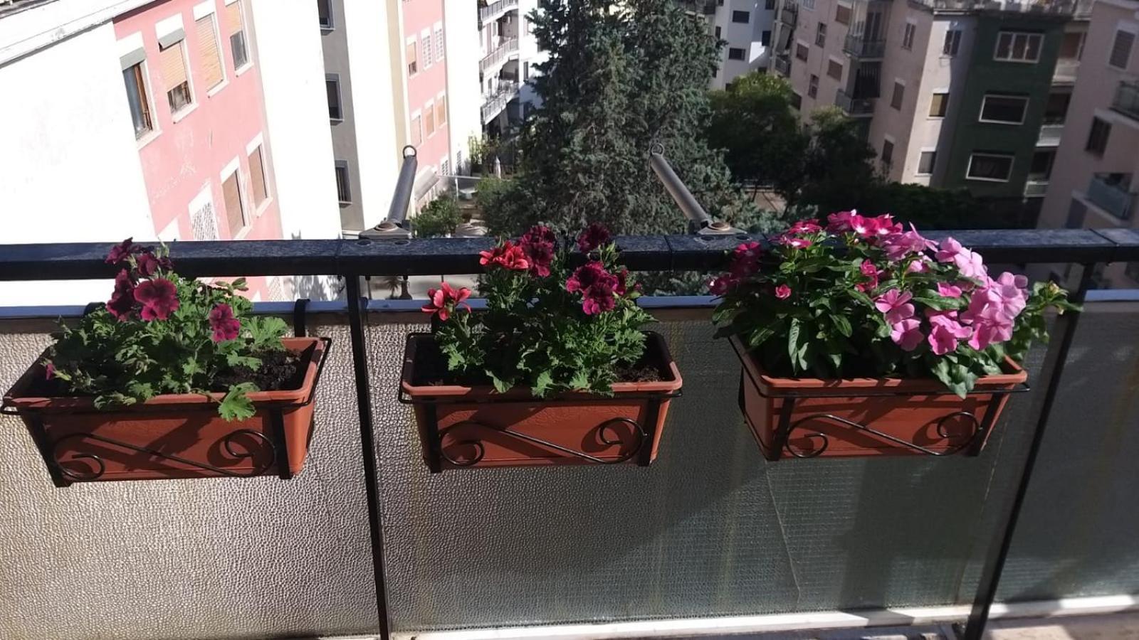 Apartment La Casa Dei Nonni Al Vaticano Rom